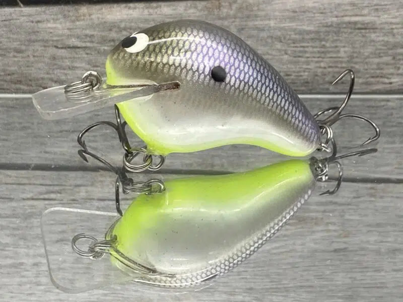 Wreck Squarebill
