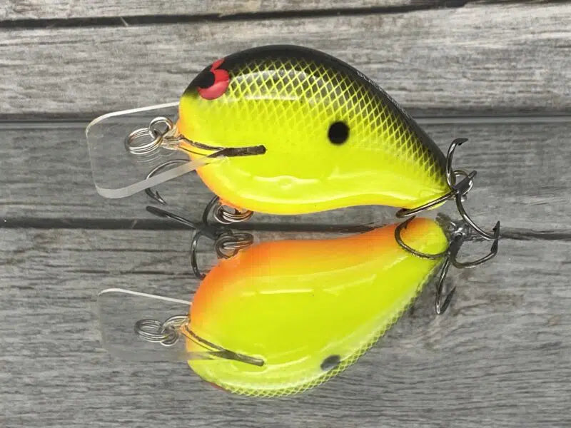 Wreck Squarebill