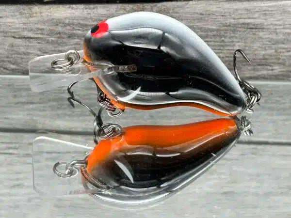 Wreck Squarebill
