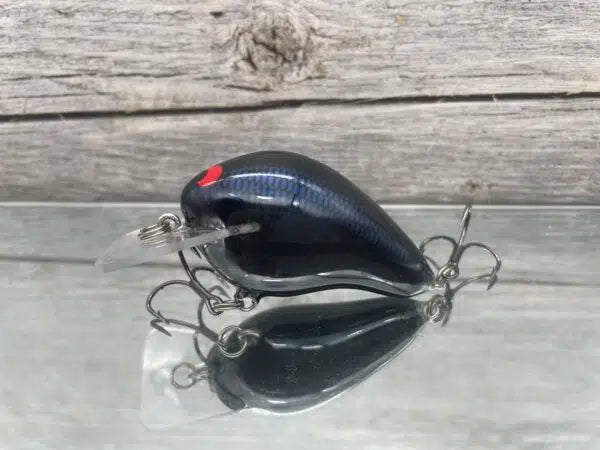 Wreck Squarebill