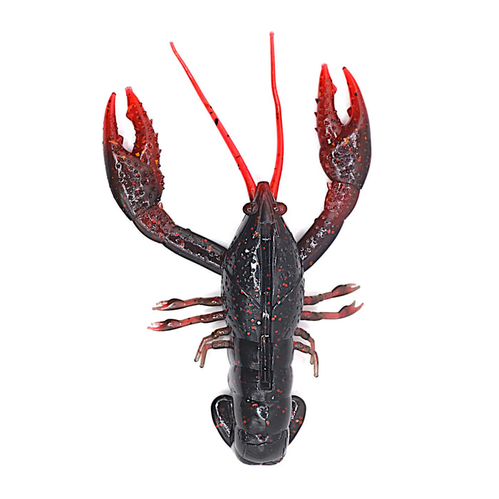 Nikko Craw