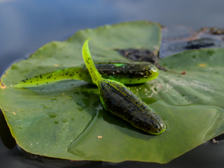 The Froglet