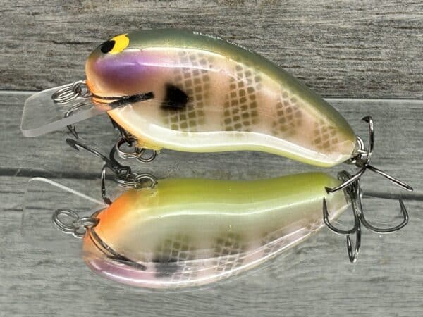 Prowler Squarebill