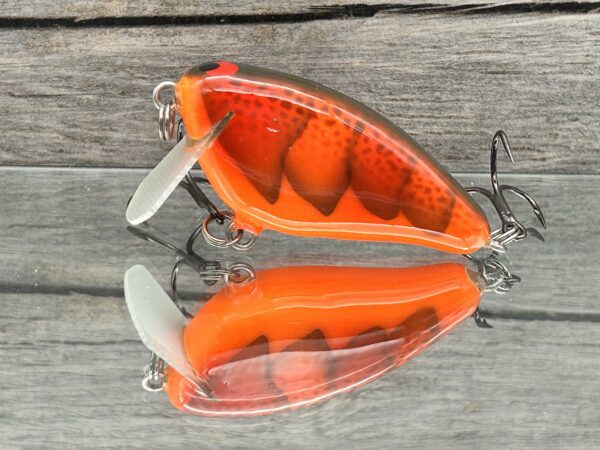 Bacon SSR — ABitFishy Bait & Tackle